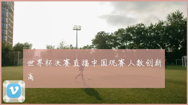 世界杯决赛直播中国观赛人数创新高