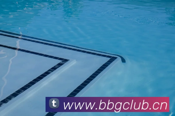 压球首页平台生态图